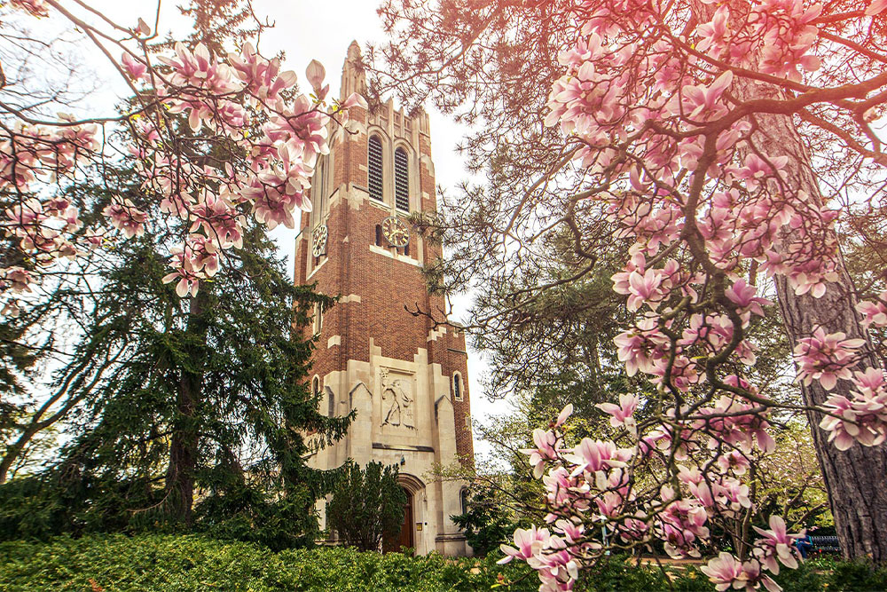Read more about the article College of Arts & Letters Graduates Earn 4.0 GPA Board of Trustees Awards
