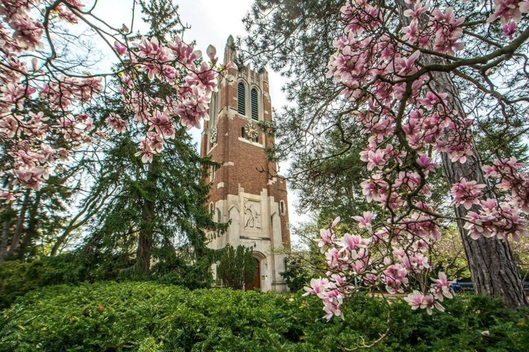 Read more about the article Spring 2025 College Graduates Receive Board of Trustees Awards for Perfect 4.0 GPAs
