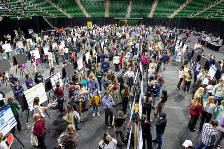 Read more about the article College of Arts & Letters Students Earn First-Place Awards at UURAF