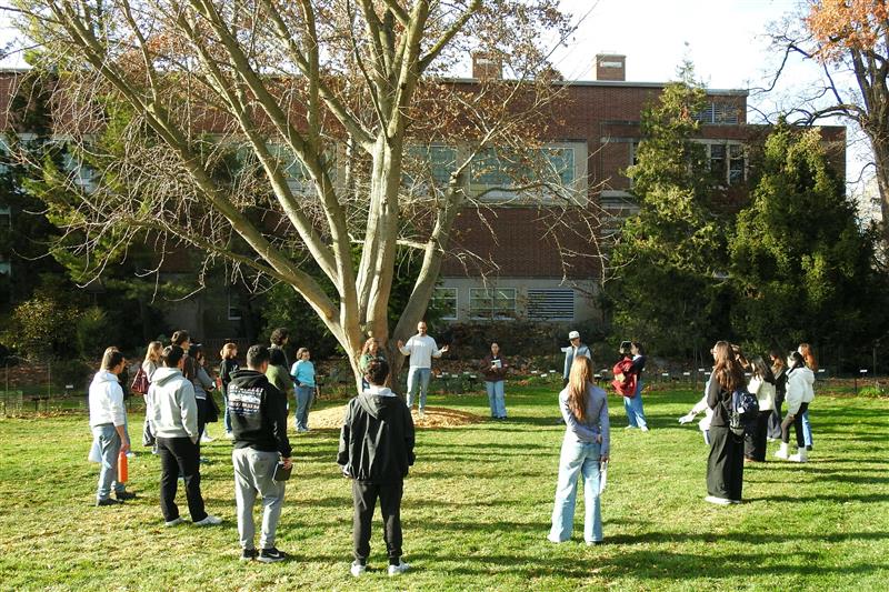 A wide shot of students arranged in a large circle on a lawn around a central tree, where a manis leading a group discussion. A building is visible in the background.